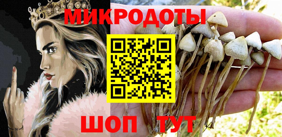 Галлюциногенные грибы мицелий Ангарск